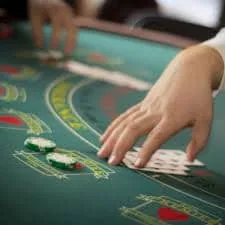 jeet77 Explore Our Live Roulette Table Rooms